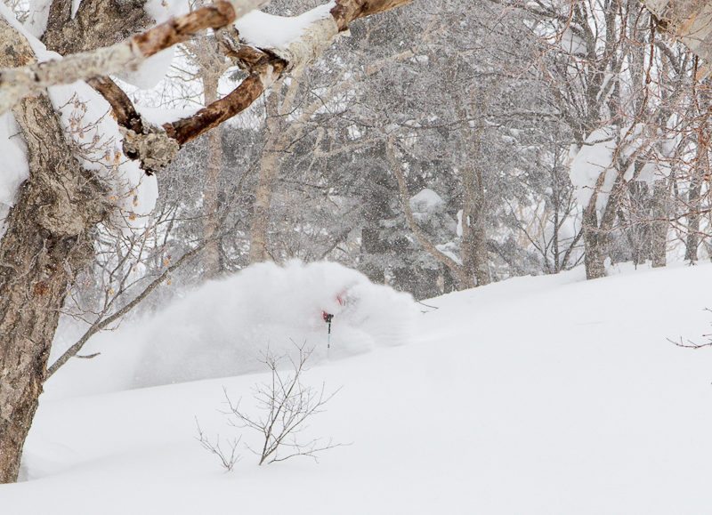 Anna Segal Niseko Japan photography