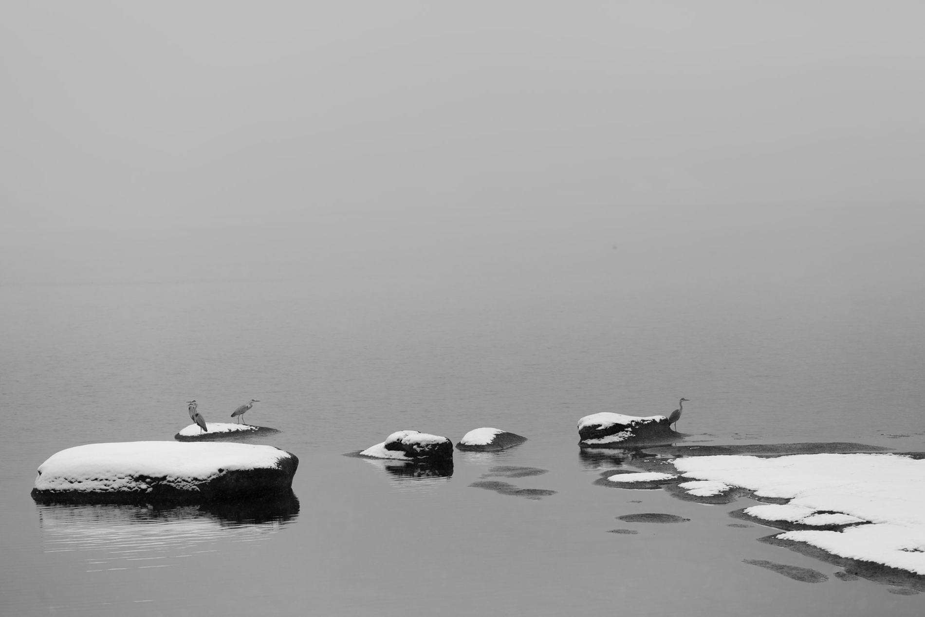 Niseko Photography Lake Toya tour